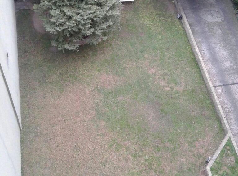 293d3677-5063-4495-9f94-6396026bf1b8