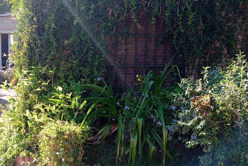 WhatsApp Image 2026-03-17 at 11.39.41 PM