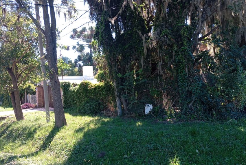 WhatsApp Image 2026-03-17 at 11.39.42 PM