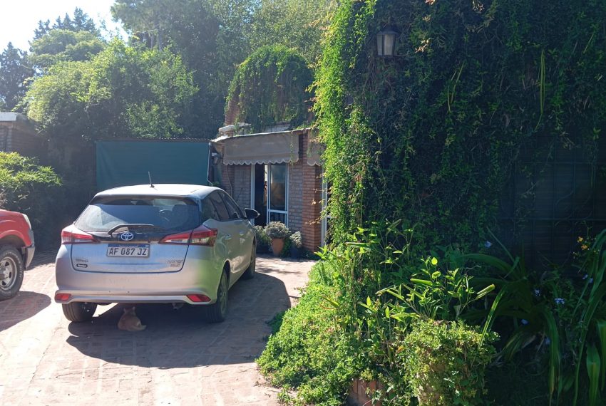 WhatsApp Image 2026-03-17 at 11.39.45 PM (1)