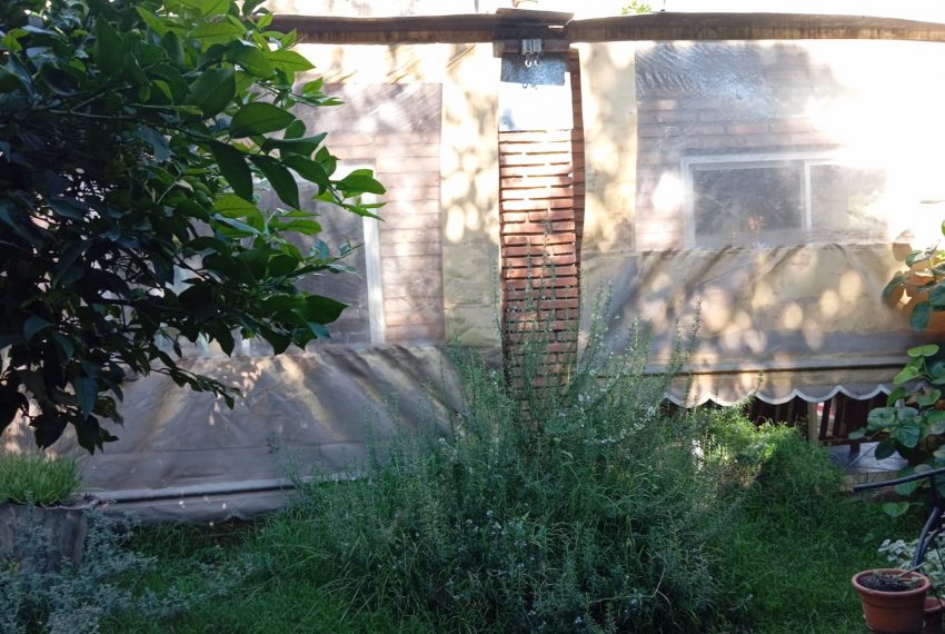 WhatsApp Image 2026-03-17 at 11.39.48 PM (1)