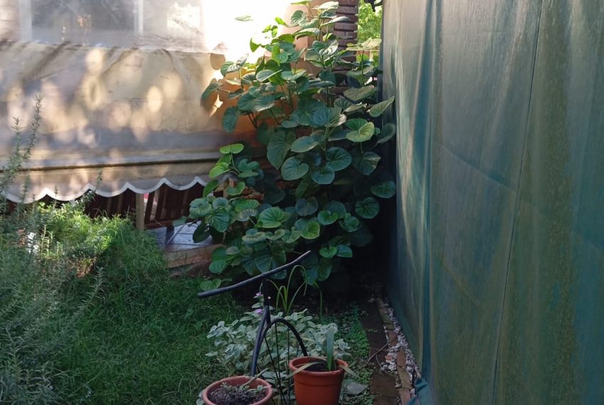 WhatsApp Image 2026-03-17 at 11.39.48 PM (2)