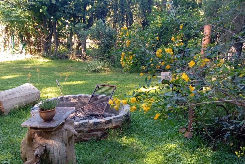 WhatsApp Image 2026-03-17 at 11.39.52 PM (1)