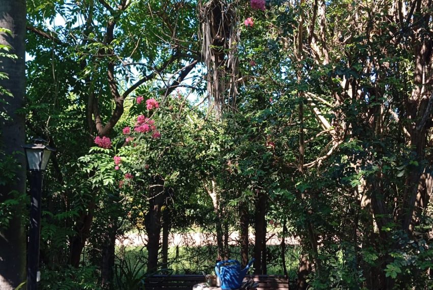 WhatsApp Image 2026-03-17 at 11.39.52 PM