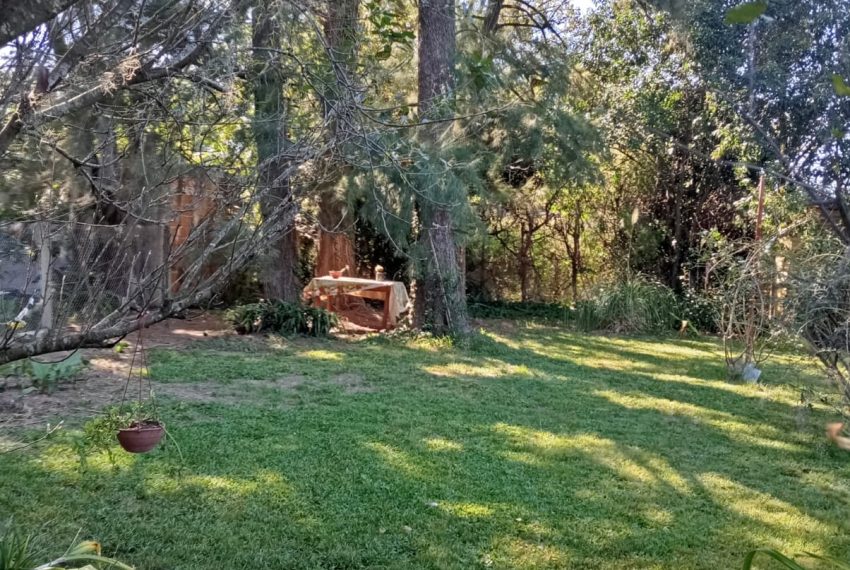 WhatsApp Image 2026-03-17 at 11.39.55 PM (1)