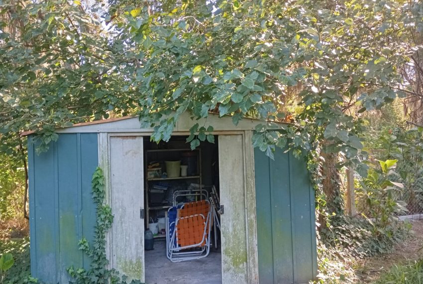 WhatsApp Image 2026-03-17 at 11.39.55 PM (2)