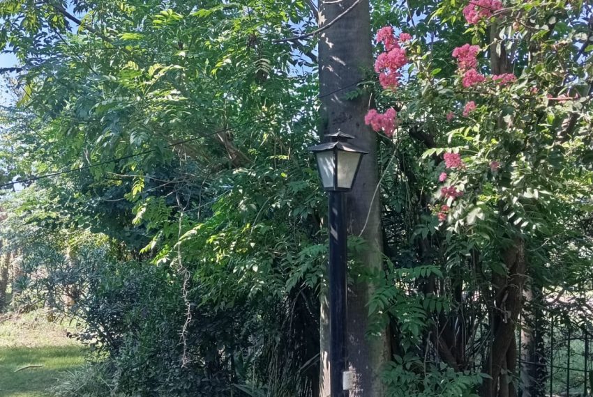 WhatsApp Image 2026-03-17 at 11.39.56 PM